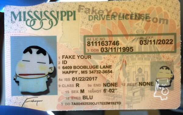 Mississippi - Image 2