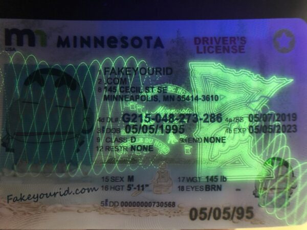 Minnesota - Image 3