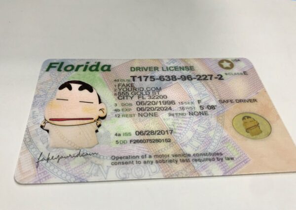 Florida - Image 2