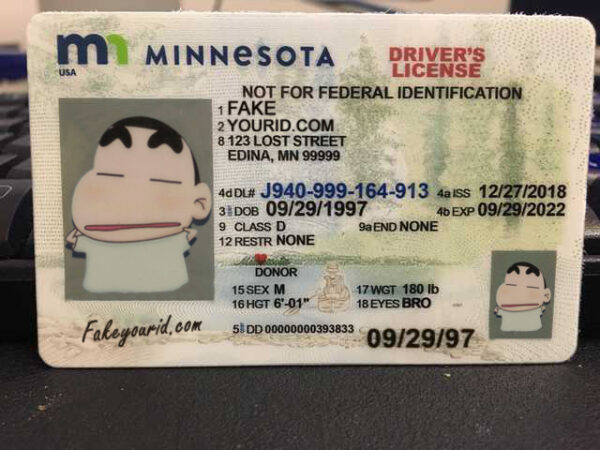 Minnesota - Image 2