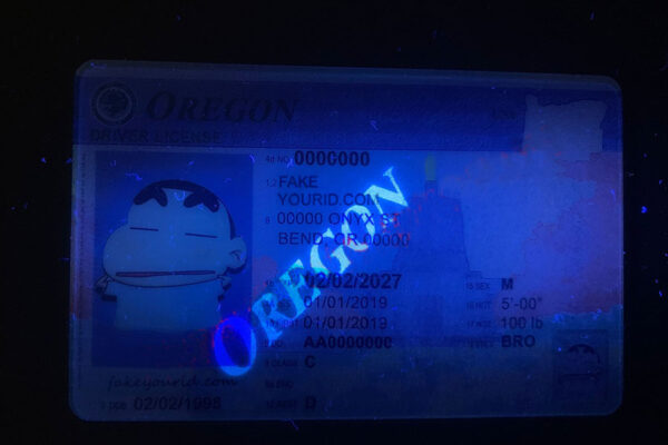Oregon - Image 2